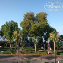 фото из отзыва ID 2001174