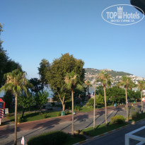 фото из отзыва ID 2001174