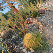 фото из отзыва ID 2001188