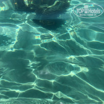 фото из отзыва ID 2001138