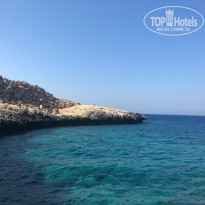 фото из отзыва ID 2001138