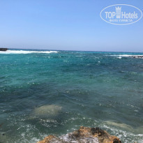 фото из отзыва ID 2001138