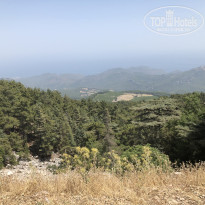 фото из отзыва ID 2001178