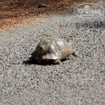 фото из отзыва ID 2001178