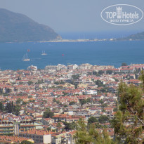 фото из отзыва ID 2001180