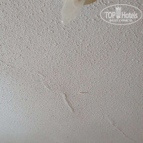 фото из отзыва ID 2001060