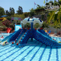 фото из отзыва ID 2001256