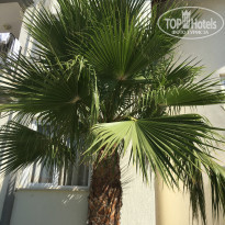 фото из отзыва ID 2001277