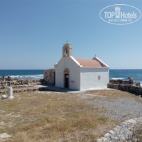 фото из отзыва ID 2001256