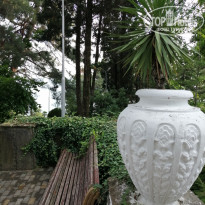 фото из отзыва ID 2001534