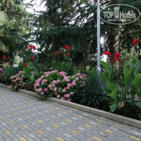 фото из отзыва ID 2001534