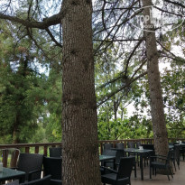 фото из отзыва ID 2001534