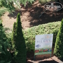 фото из отзыва ID 2001534