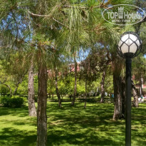 фото из отзыва ID 2001586