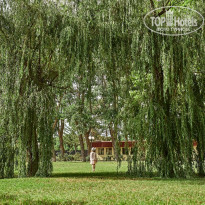 фото из отзыва ID 2001554