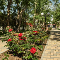 фото из отзыва ID 2001554