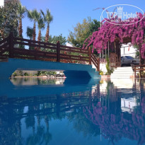 фото из отзыва ID 2001751