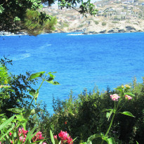 фото из отзыва ID 2001758