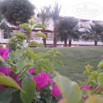 фото из отзыва ID 2001905