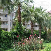 фото из отзыва ID 2001993