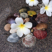 фото из отзыва ID 2001985