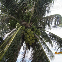 фото из отзыва ID 2001985