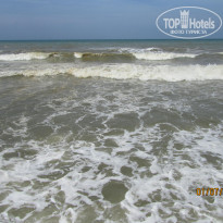 фото из отзыва ID 2001985