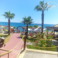 фото из отзыва ID 2002000