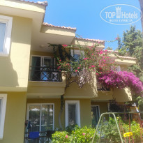 фото из отзыва ID 2002000