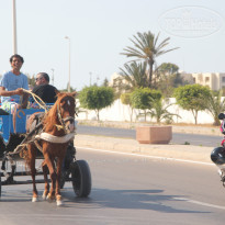 фото из отзыва ID 2002138