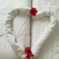 фото из отзыва ID 2002174