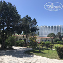 фото из отзыва ID 2002192