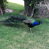 фото из отзыва ID 2002399