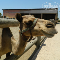 фото из отзыва ID 2003101