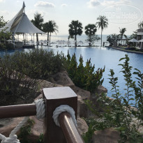 фото из отзыва ID 2003137