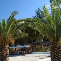 фото из отзыва ID 2003095