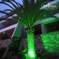 фото из отзыва ID 2003095