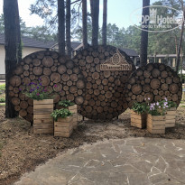 фото из отзыва ID 2003292