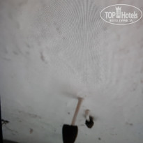 фото из отзыва ID 2003313