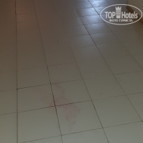 фото из отзыва ID 2003313