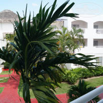 фото из отзыва ID 2003428