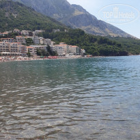 фото из отзыва ID 2003415