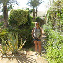 фото из отзыва ID 2003398