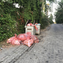 фото из отзыва ID 2003504