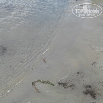 фото из отзыва ID 2001269