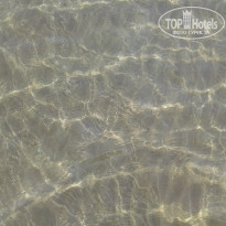 фото из отзыва ID 2001269