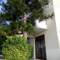 фото из отзыва ID 2002952