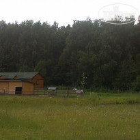 фото из отзыва ID 2002669