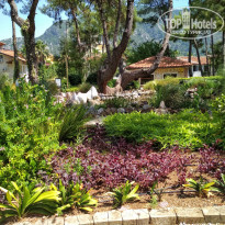 фото из отзыва ID 2003842