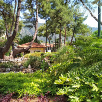 фото из отзыва ID 2003842